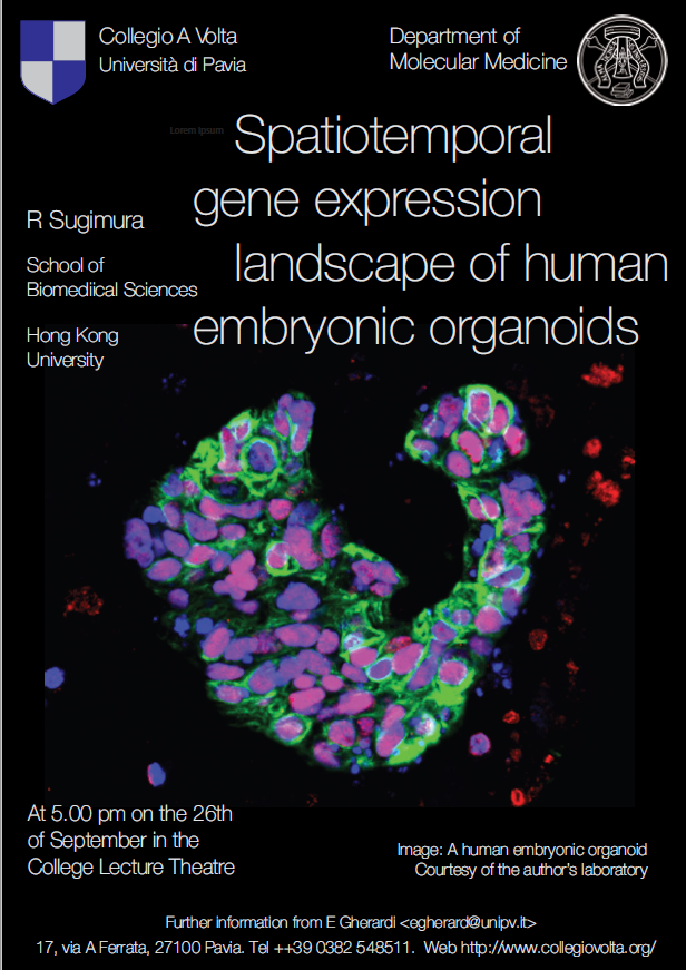 Banner seminario Sugimura