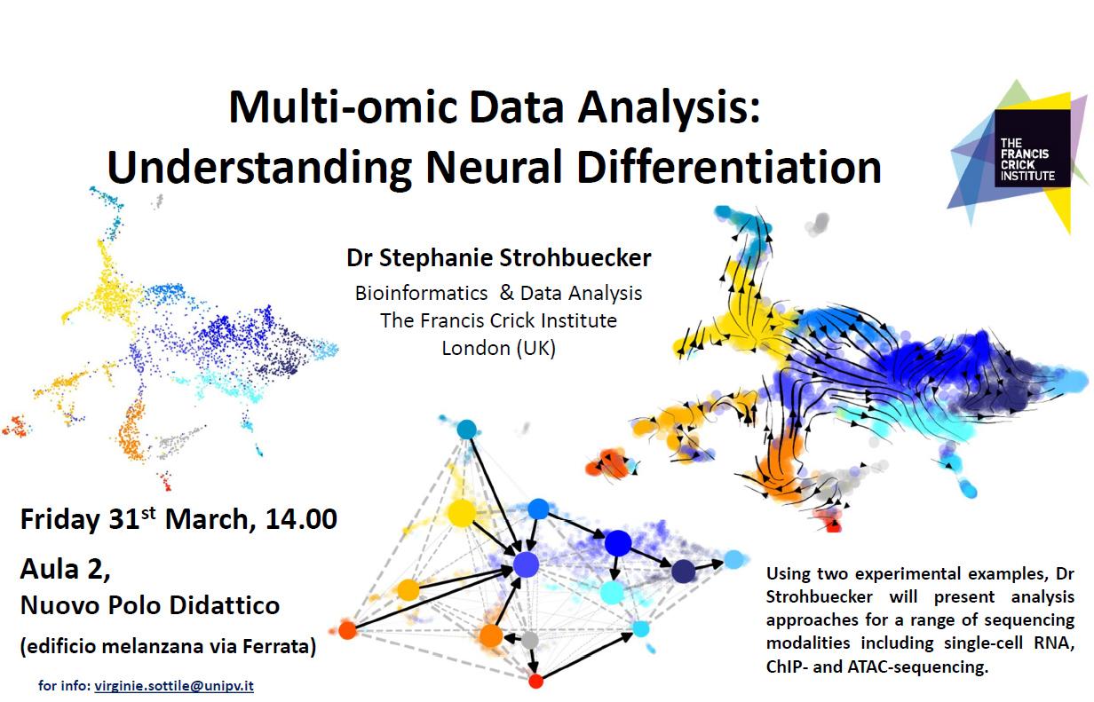 Strohbuecker March 31st 23