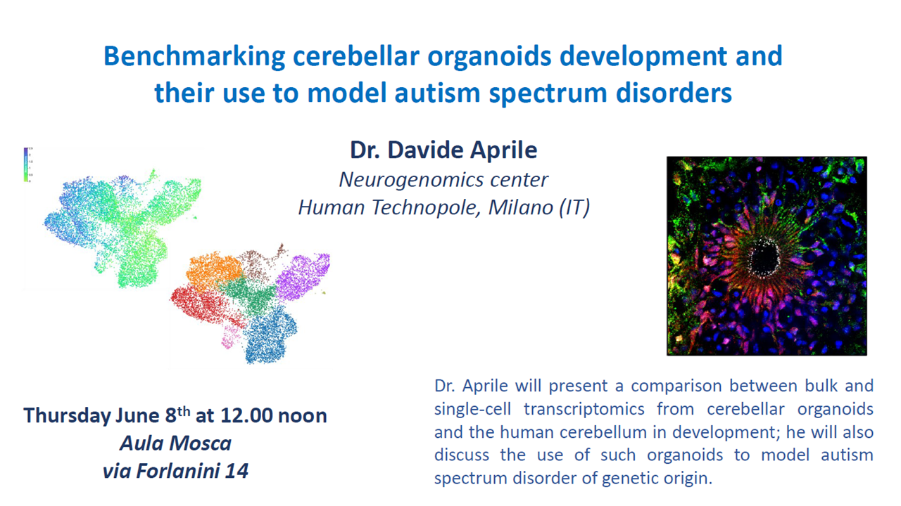 Davide Aprile - seminar