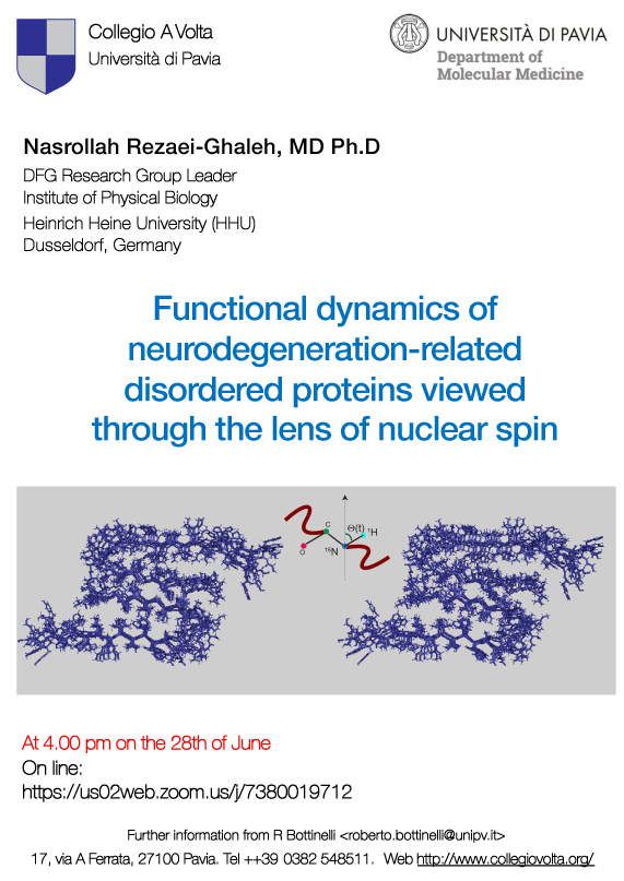 Hessam_Rezaei-Ghaleh_DMM-DE 2023