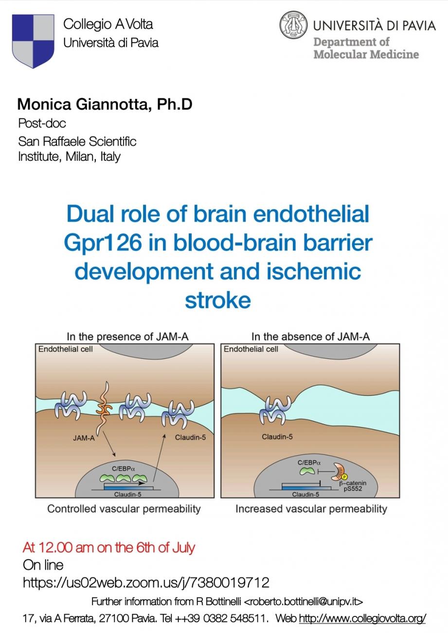 Lecture - Monica Giannotta DMM-DE 2023