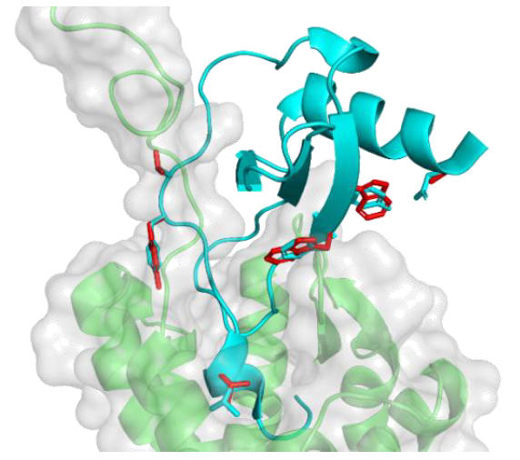 Vangelista graphical abstract Pj.B 2024