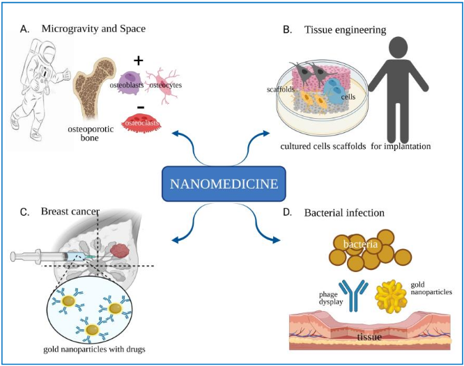 Visai Graphical abstract 2025