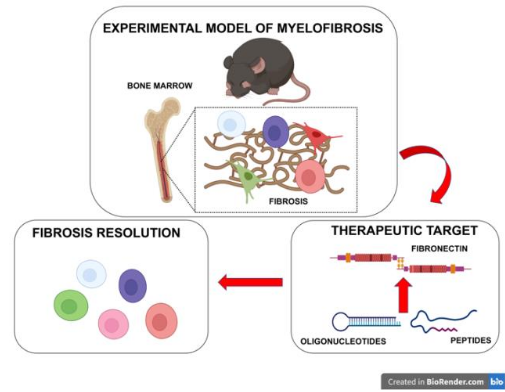 Malara Graphical abstract 2025