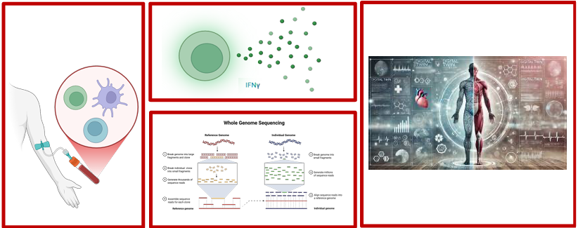 Arianna Palladini graphical abstract 2 2026