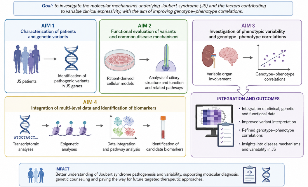 Valente Graphical abstract Joubert 2026